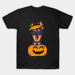 Funny alsatian is in a pumpkin T-Shirt